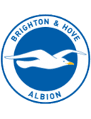 Brighton badge