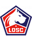 Lille badge