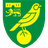 Norwich badge