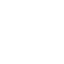 Tottenham badge