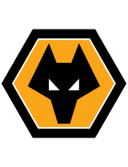 Wolves badge
